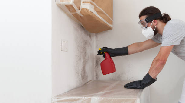 Professional Mold Remediation technician working in Hopkinton, MA